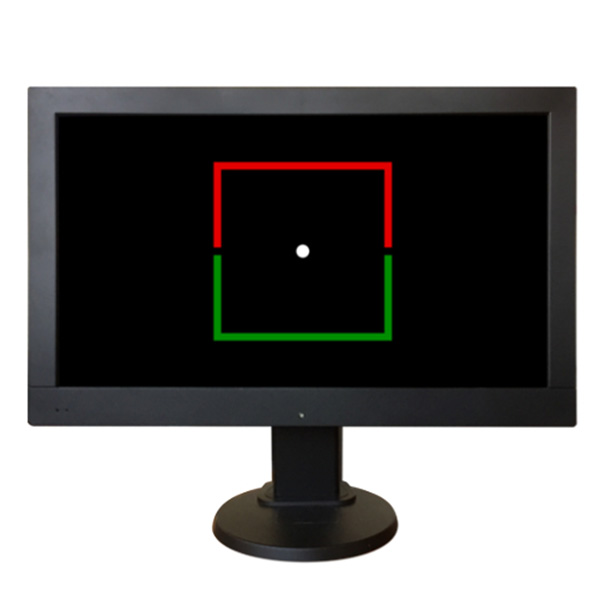 FAR VISTA VISION